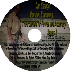 CD label for Dan Shevage's 1994 album featuring blues music.