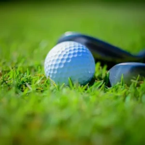 A golf ball on grass next to a golf club.