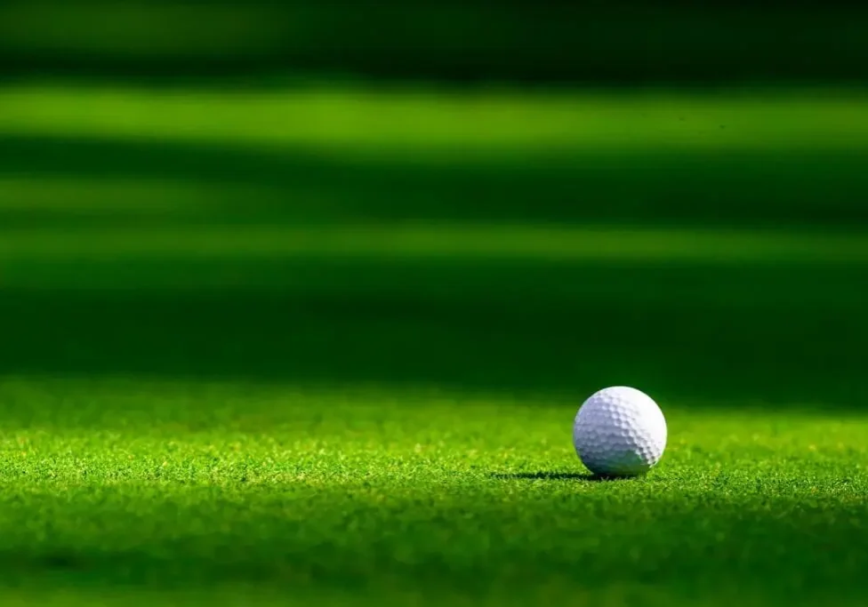 A golf ball resting on vibrant green grass in sunlight.