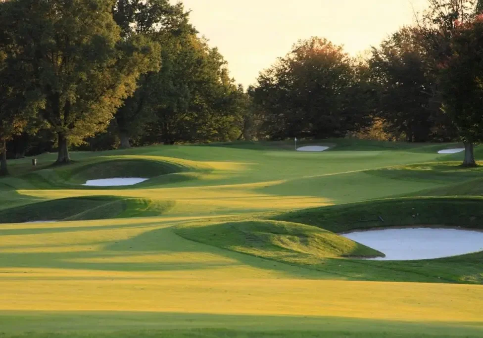 A serene golf course with green fairways and sand bunkers under soft sunlight.